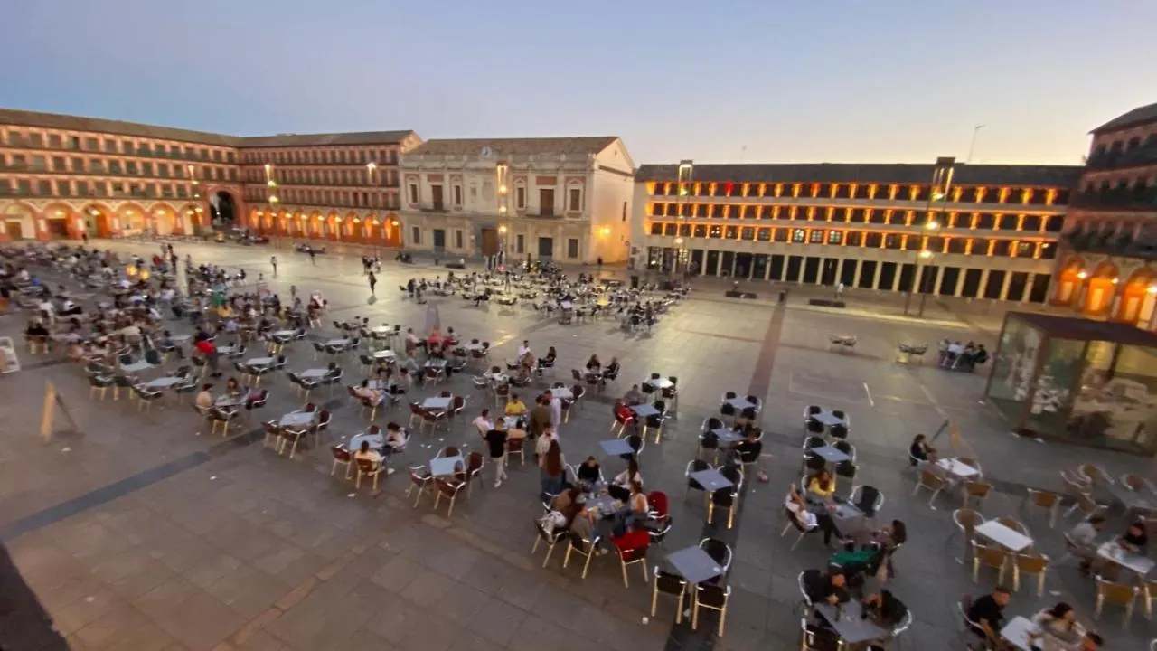 Bed & Breakfast Hostel Plaza Mayor Corredera Spain